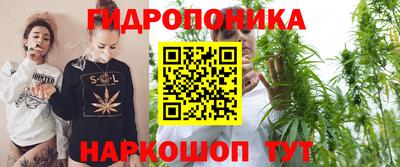 тгк Шахты